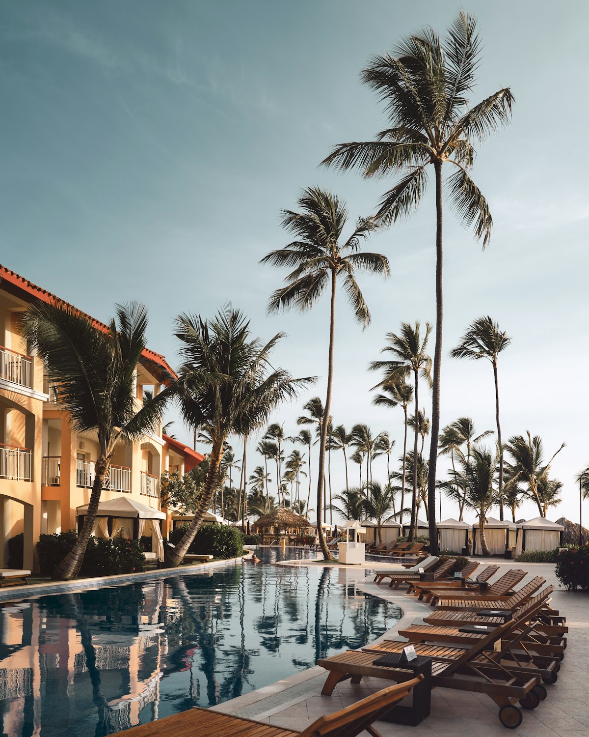 Beachfront resort with palm trees